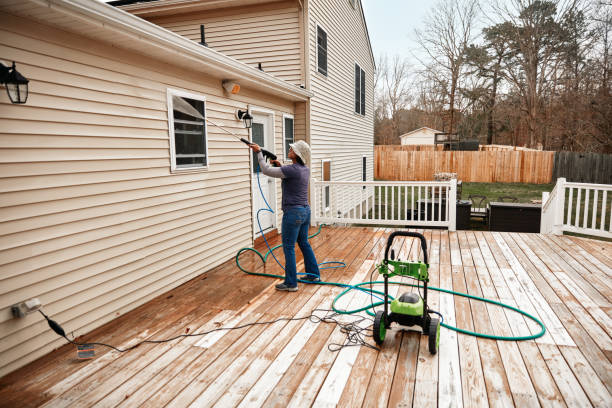 Best Fence Pressure Washing  in Crainvle, IL