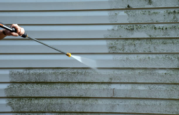 Best House Pressure Washing  in Crainvle, IL