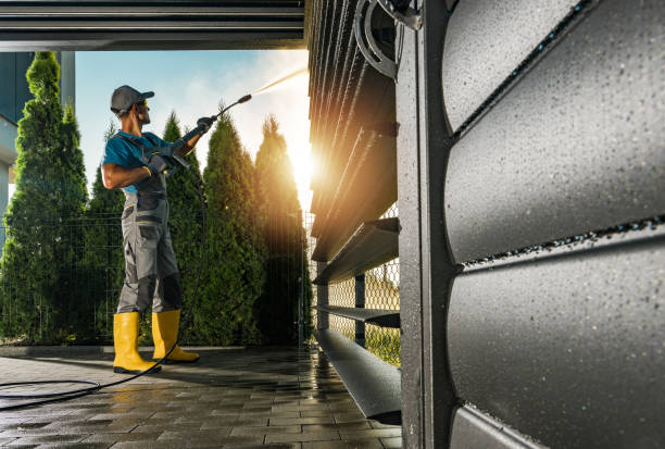 Best Exterior Home Cleaning  in Crainvle, IL