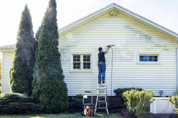 Best Sidewalk Pressure Washing  in Crainvle, IL