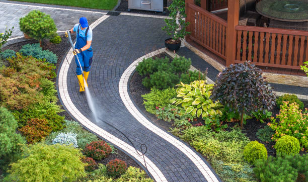 Best Local Pressure Washing Services  in Crainvle, IL