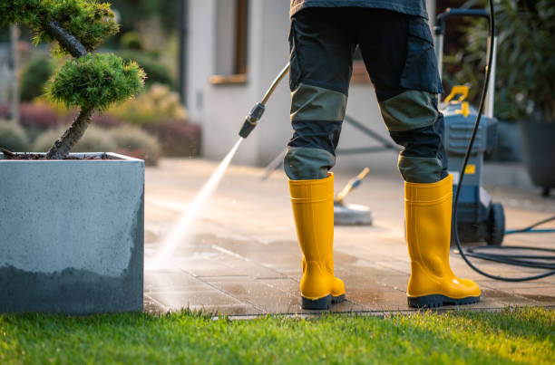 Best Power Washing Near Me  in Crainvle, IL
