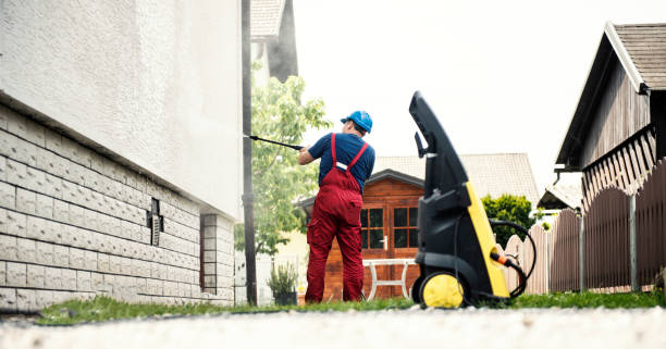 Best Fence Pressure Washing  in Crainvle, IL